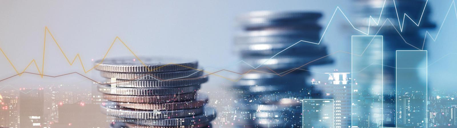 Bannerbild Finanzinstitutionen