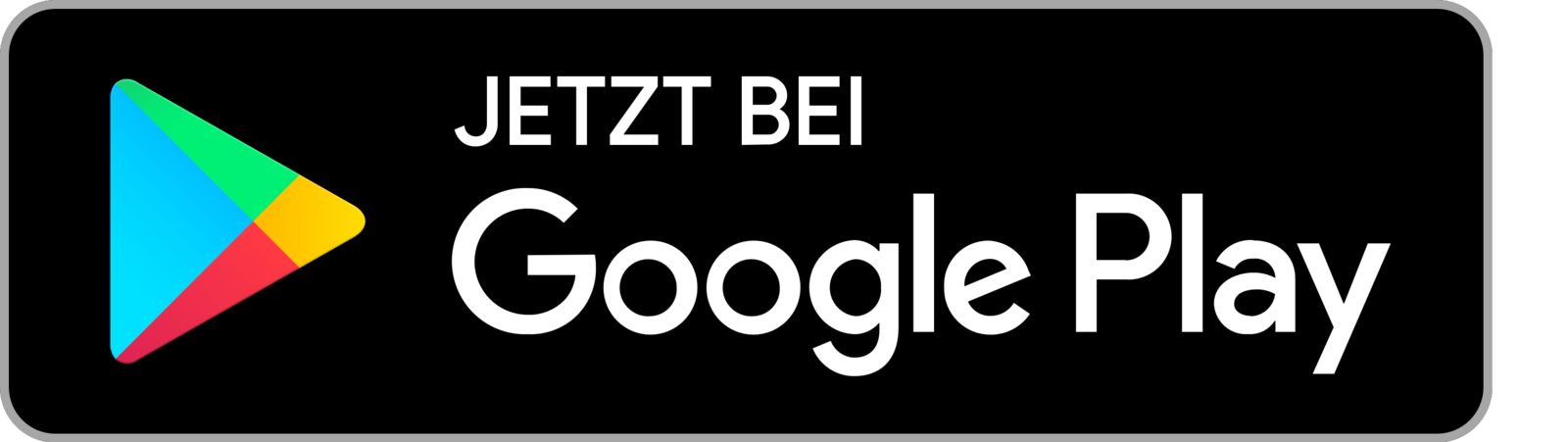 Google Play Store Logo