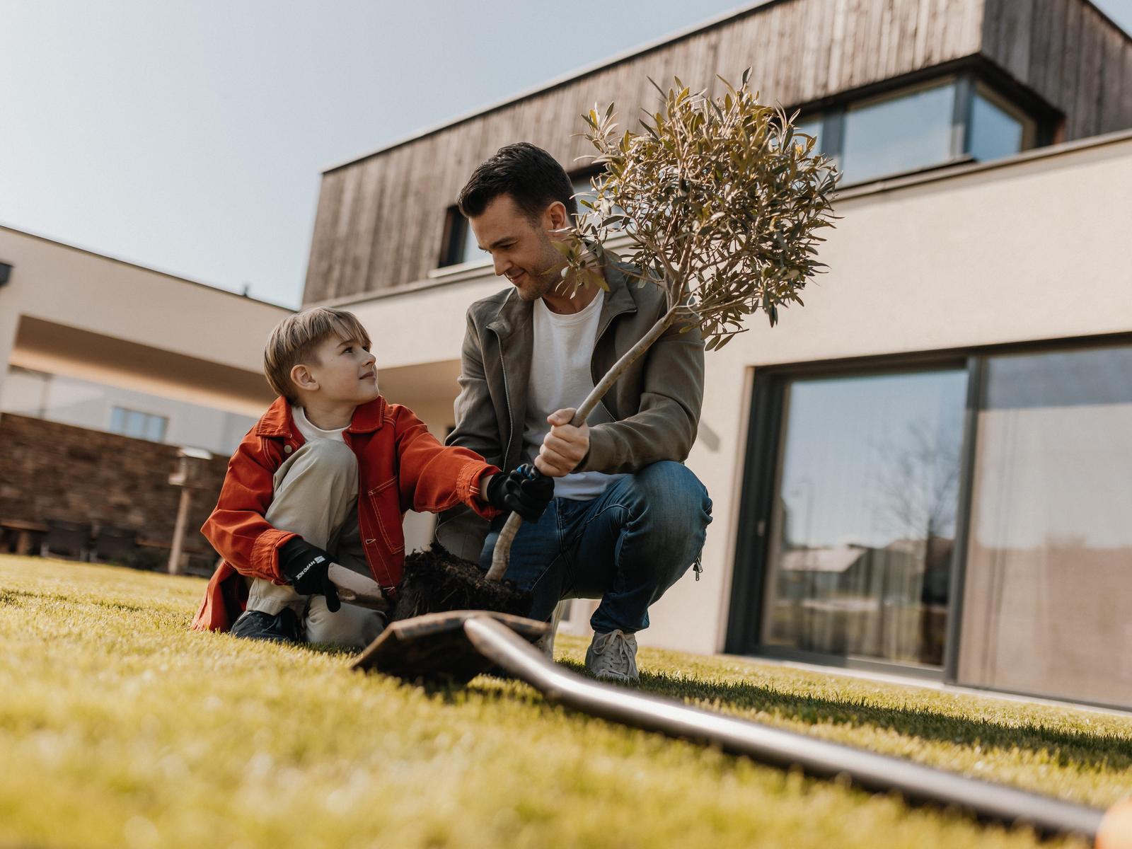 Vater setzt Baum mit Sohn