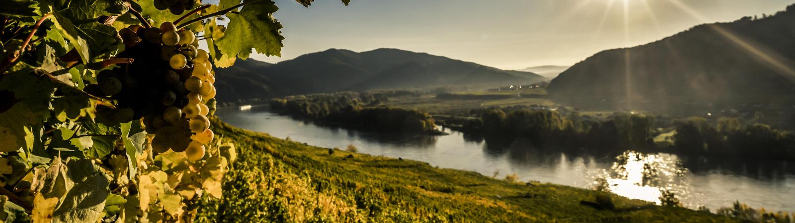 Wachau im Sonnenlicht