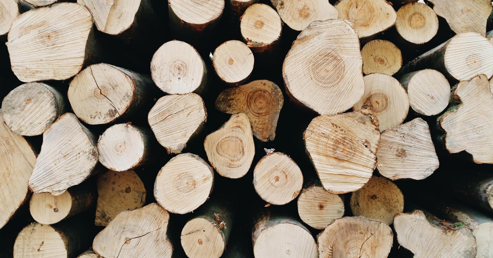 Betriebsmittel: Baumstämme