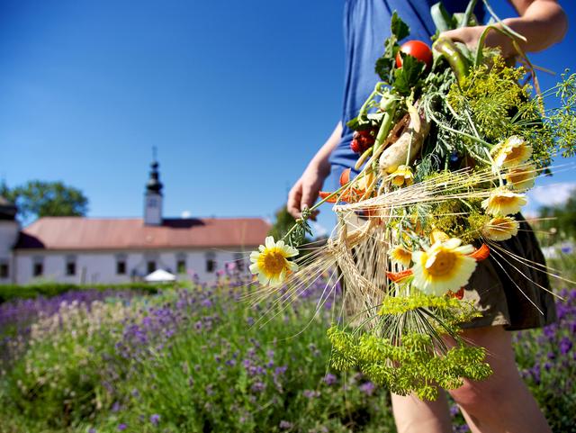 Vielfalt in der Hand Garten
