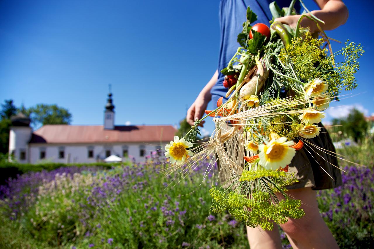 Vielfalt in der Hand Garten