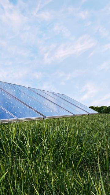 Photovoltaikanlage auf grüner Wiese