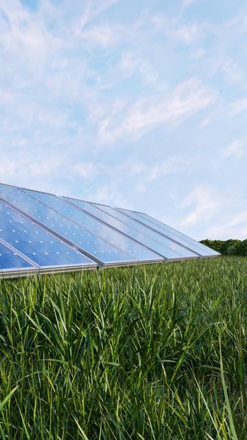 Photovoltaikanlage auf grüner Wiese