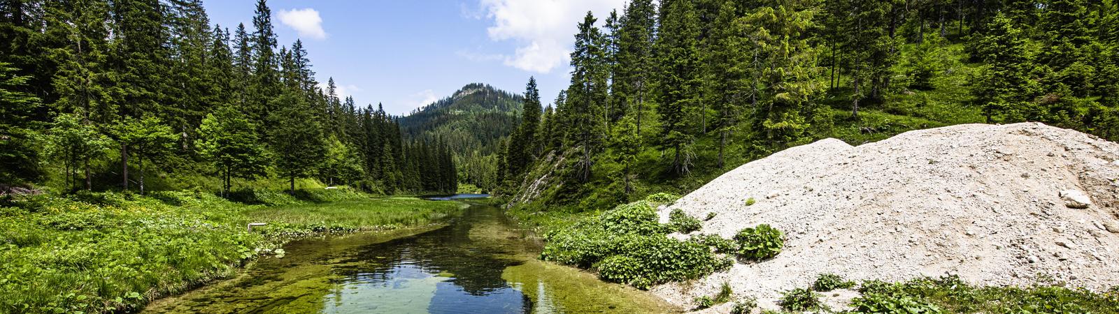 Wildnisgebiet Dürrenstein