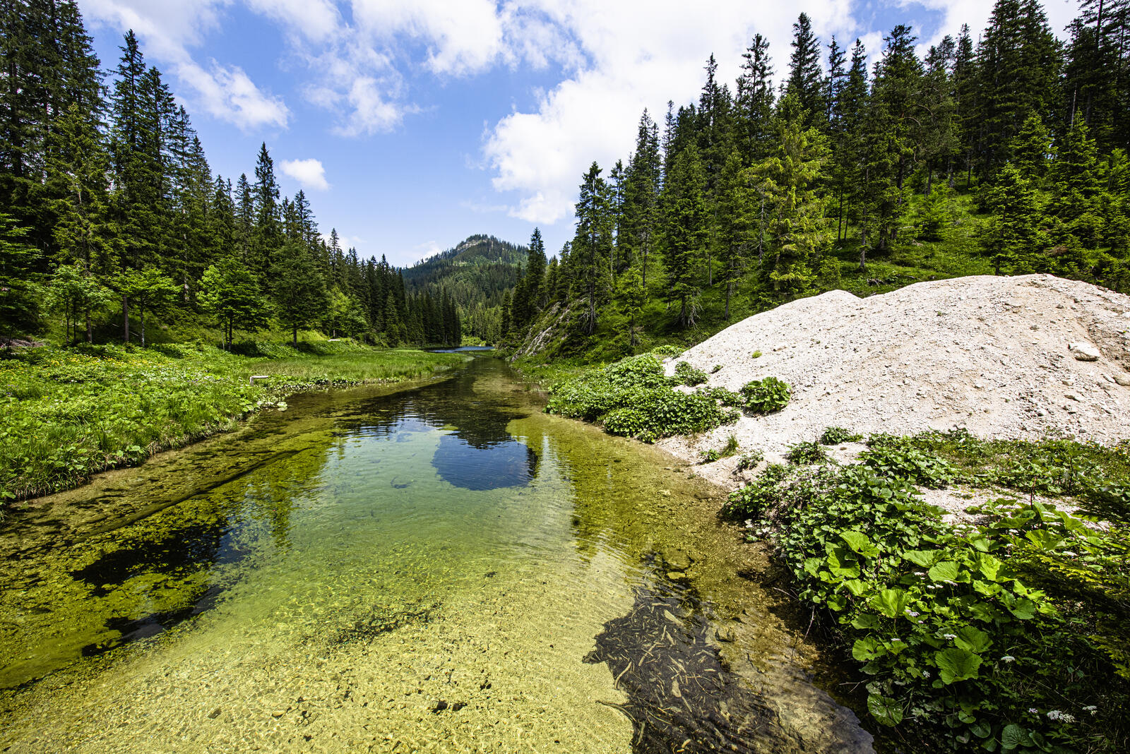Foto eines Walds mit einem klaren Bach in der Mitte und rechts einem großen Stein, in der Ferne der Gipfel eines Berges: Wildnisgebiet Dürrenstein
