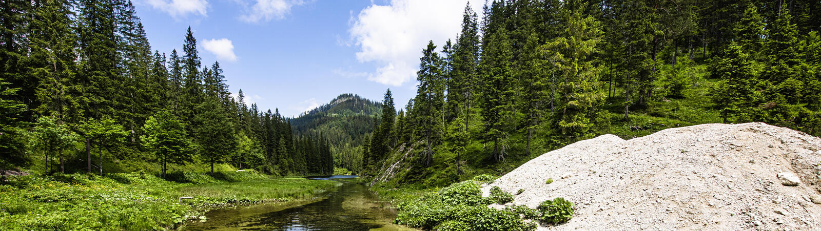 Foto eines Walds mit einem klaren Bach in der Mitte und rechts einem großen Stein, in der Ferne der Gipfel eines Berges: Wildnisgebiet Dürrenstein