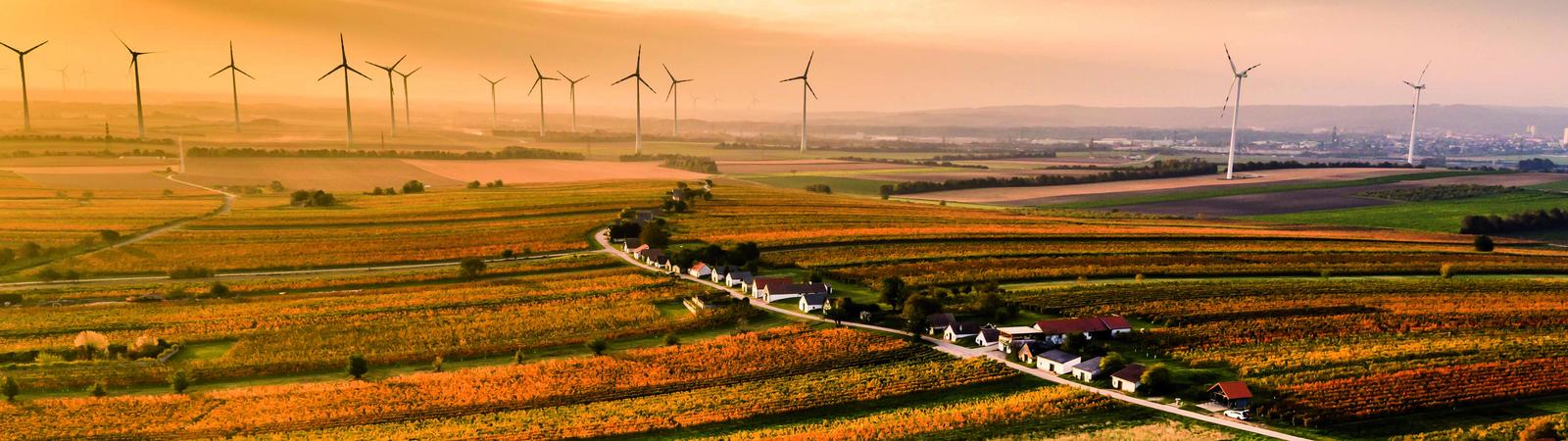 Typische Weinviertler Kellergasse im Sonnenuntergang - im Hintergrund Windräder.